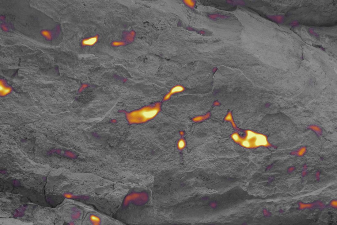 Pigment activation map over the desaturated photograph